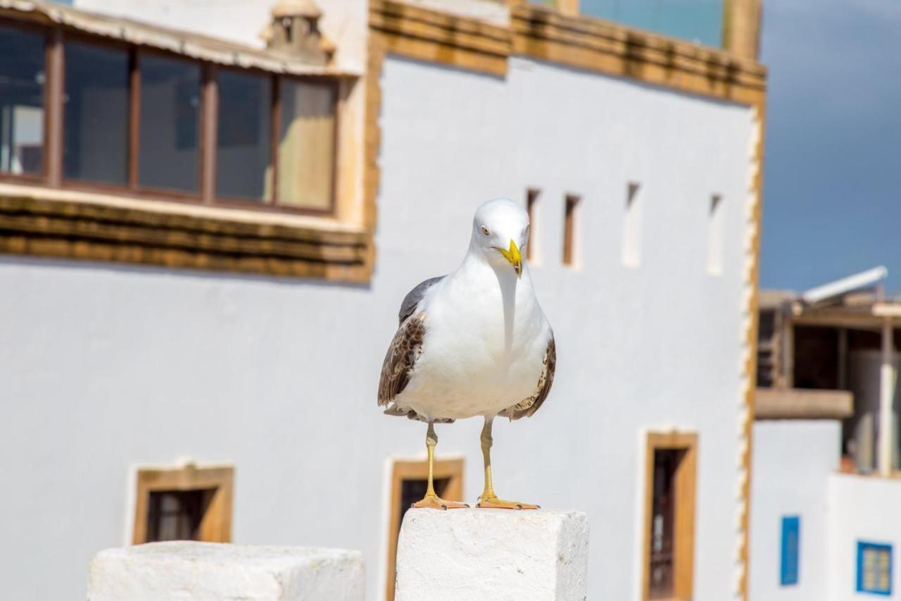 Les Terrasses D'Essaouira Hotel Exterior photo